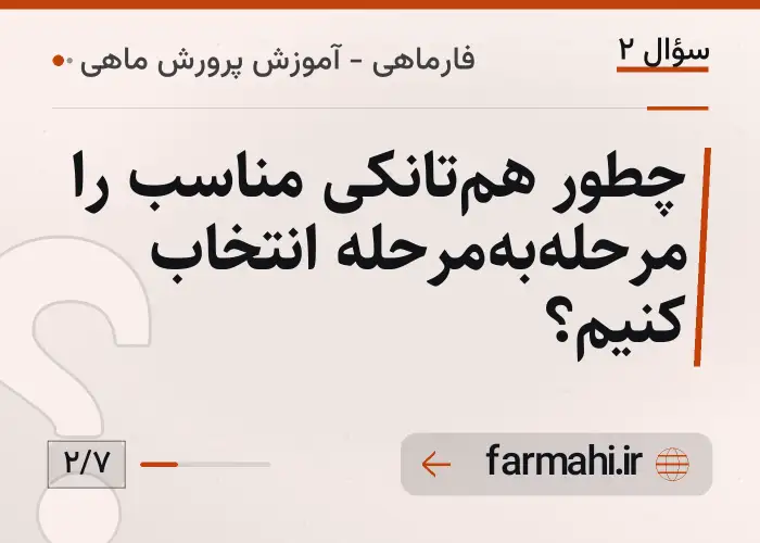 چطور هم‌تانکی مناسب را مرحله‌به‌مرحله انتخاب کنیم؟
