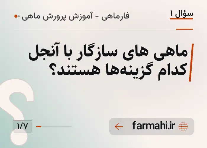 ماهی های سازگار با آنجل کدام گزینه‌ها هستند؟