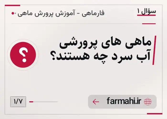ماهی های پرورشی آب سرد چه هستند؟