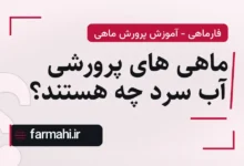 ماهی های پرورشی آب سرد چه هستند؟