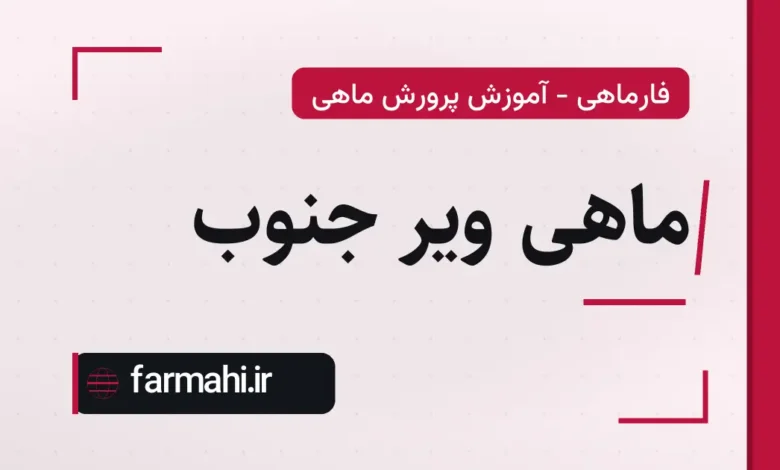 ماهی ویر جنوب