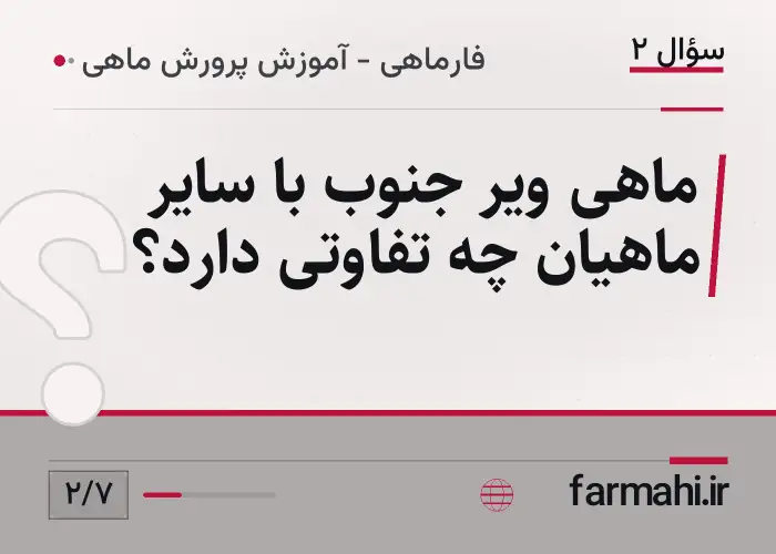ماهی ویر جنوب با سایر ماهیان چه تفاوتی دارد؟