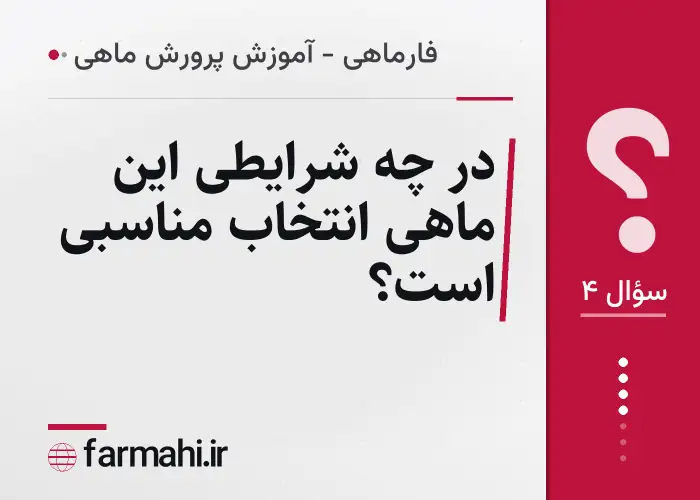 در چه شرایطی این ماهی انتخاب مناسبی است؟