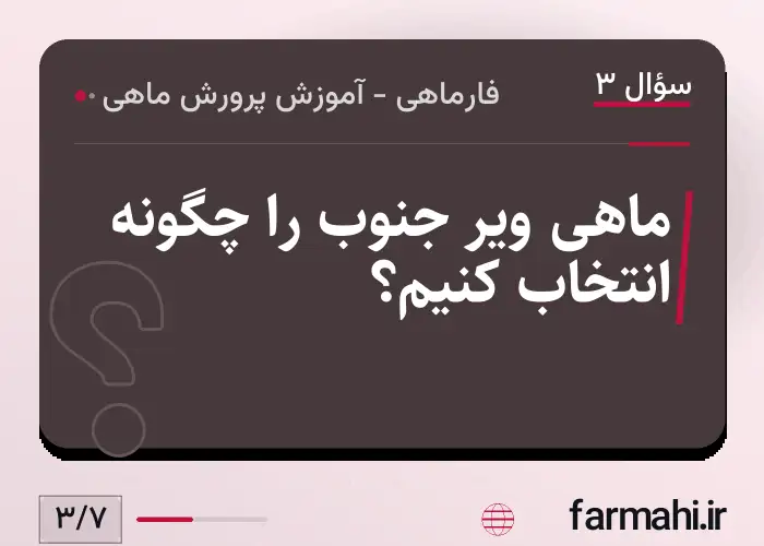 ماهی ویر جنوب را چگونه انتخاب کنیم؟