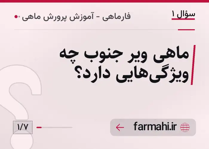 ماهی ویر جنوب چه ویژگی‌هایی دارد؟