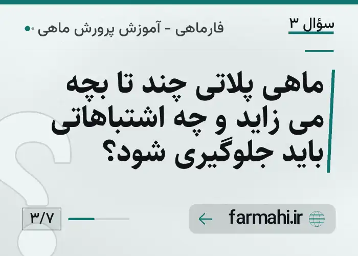 ماهی پلاتی چند تا بچه می زاید و چه اشتباهاتی باید جلوگیری شود؟