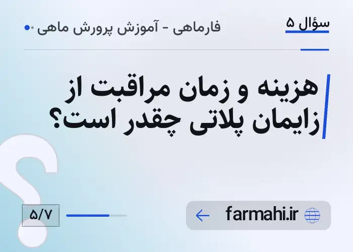 هزینه و زمان مراقبت از زایمان پلاتی چقدر است؟