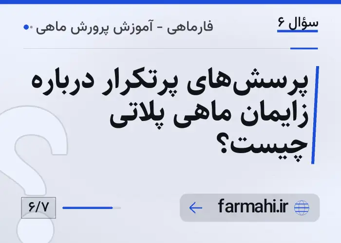 پرسش‌های پرتکرار درباره زایمان ماهی پلاتی چیست؟