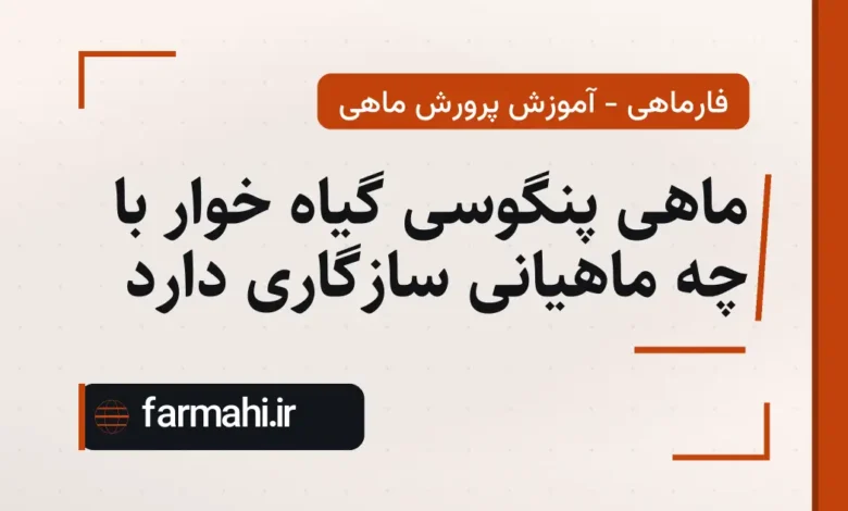 ماهی پنگوسی گیاه خوار با چه ماهیانی سازگاری دارد