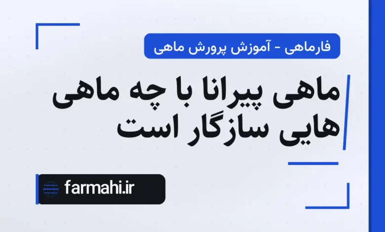 ماهی پیرانا با چه ماهی هایی سازگار است