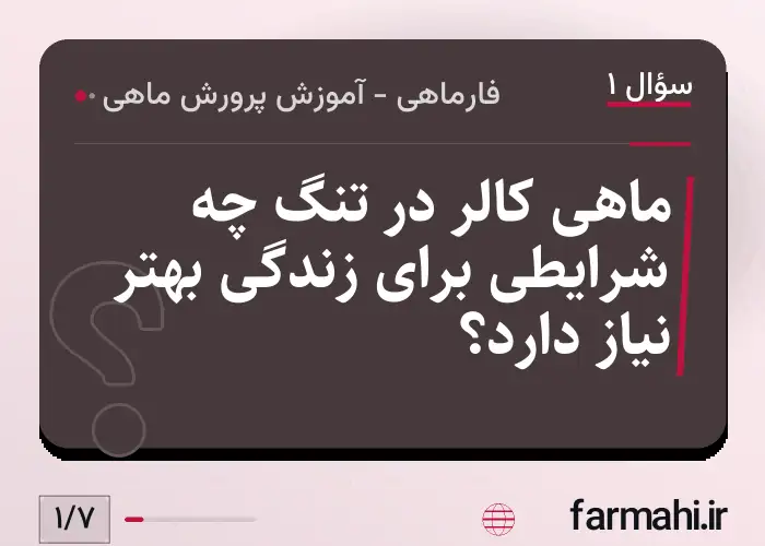ماهی کالر در تنگ چه شرایطی برای زندگی بهتر نیاز دارد؟