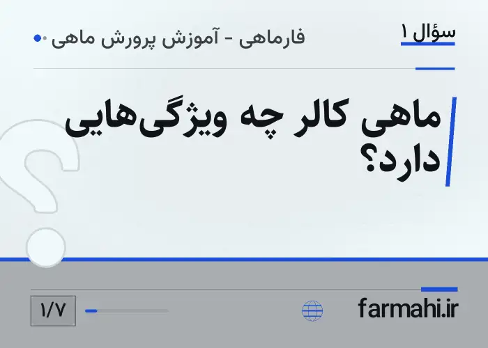 ماهی کالر چه ویژگی‌هایی دارد؟