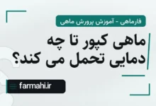 ماهی کپور تا چه دمایی تحمل می کند؟
