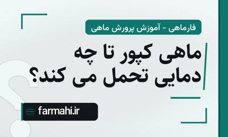 ماهی کپور تا چه دمایی تحمل می کند؟