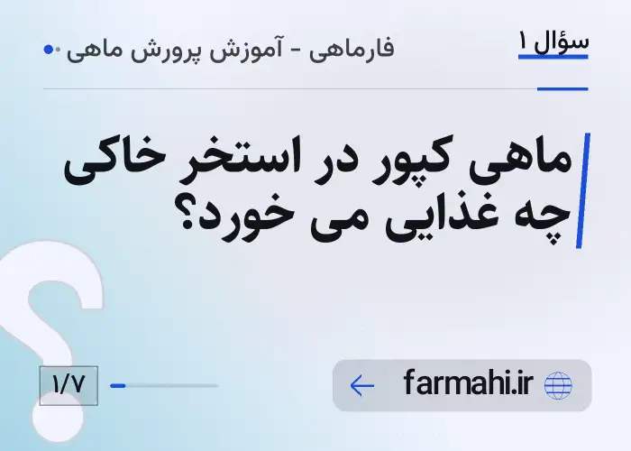 ماهی کپور در استخر خاکی چه غذایی می خورد؟