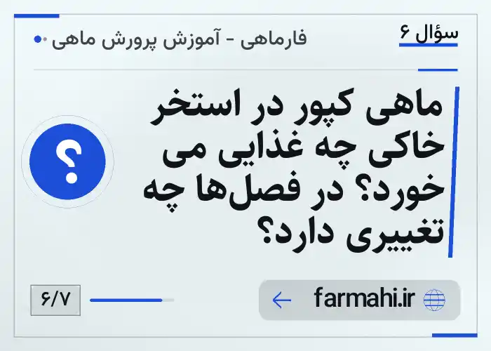 ماهی کپور در استخر خاکی چه غذایی می خورد؟ در فصل‌ها چه تغییری دارد؟