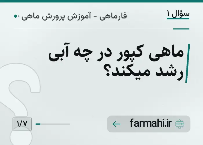 ماهی کپور در چه آبی رشد میکند؟
