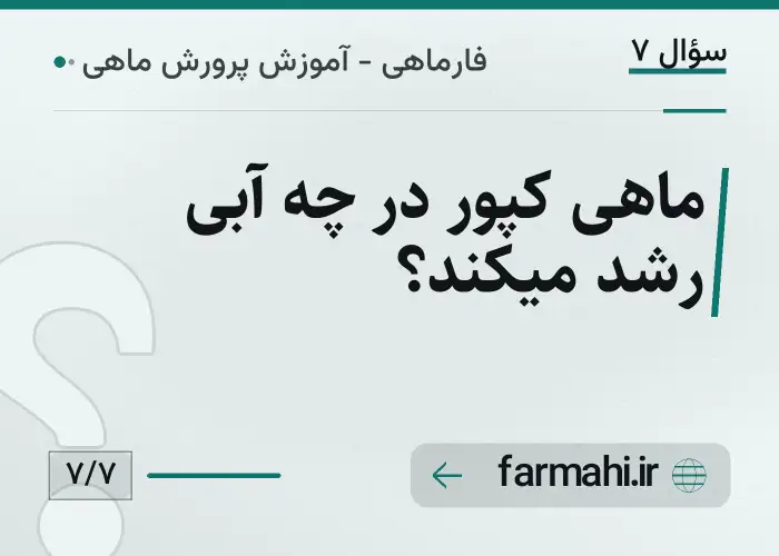 ماهی کپور در چه آبی رشد میکند؟