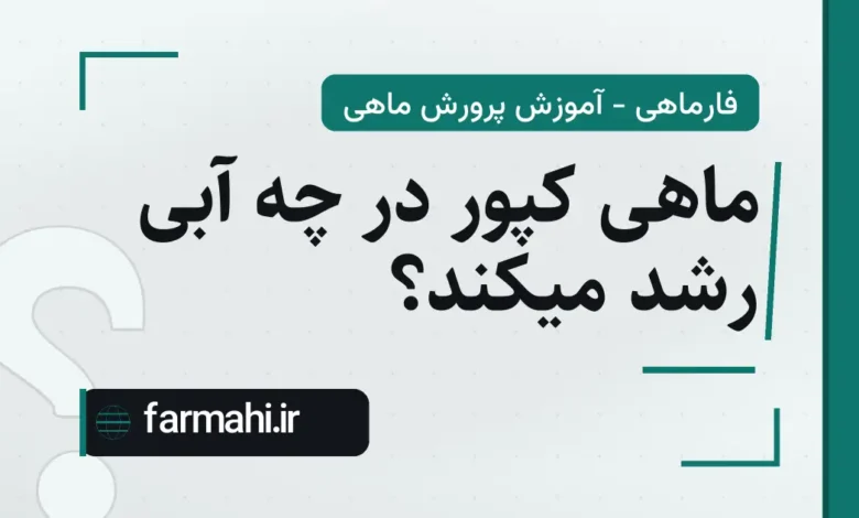 ماهی کپور در چه آبی رشد میکند؟