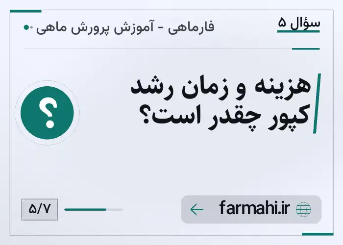 هزینه و زمان رشد کپور چقدر است؟