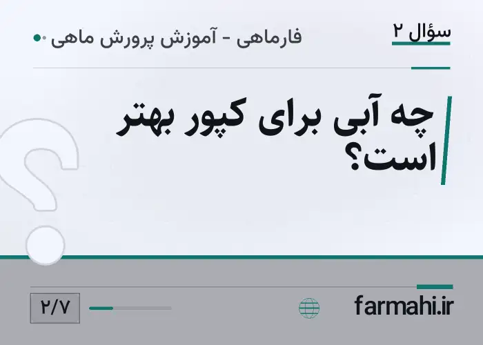 چه آبی برای کپور بهتر است؟