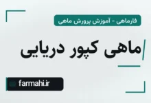 ماهی کپور دریایی