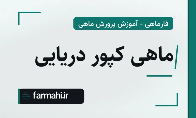 ماهی کپور دریایی