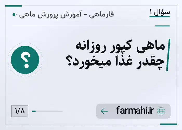 ماهی کپور روزانه چقدر غذا میخورد؟