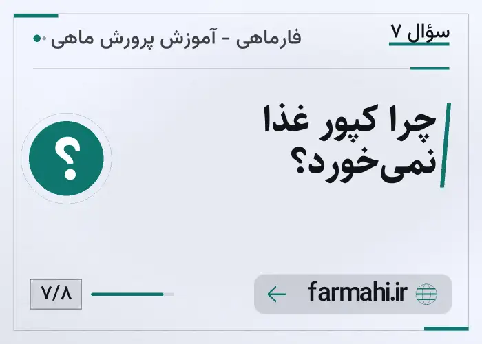 چرا کپور غذا نمی‌خورد؟
