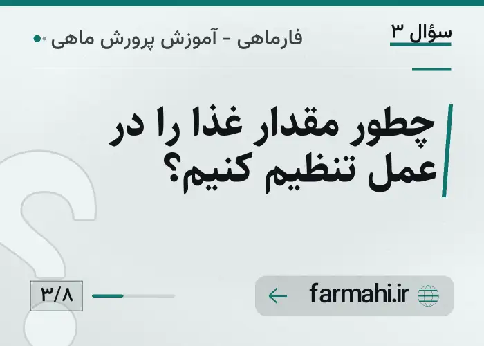 چطور مقدار غذا را در عمل تنظیم کنیم؟