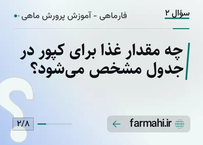 چه مقدار غذا برای کپور در جدول مشخص می‌شود؟