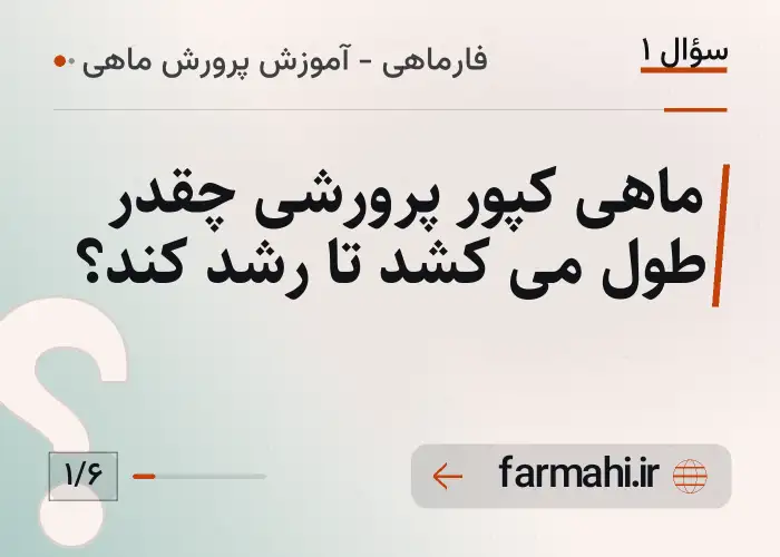 ماهی کپور پرورشی چقدر طول می کشد تا رشد کند؟
