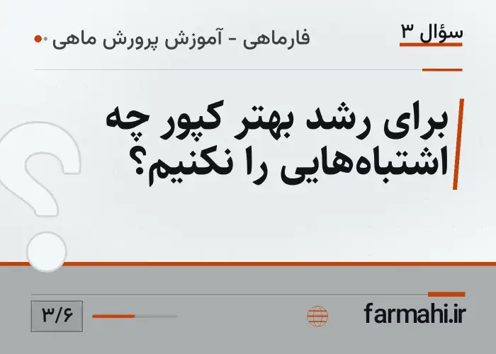 برای رشد بهتر کپور چه اشتباه‌هایی را نکنیم؟