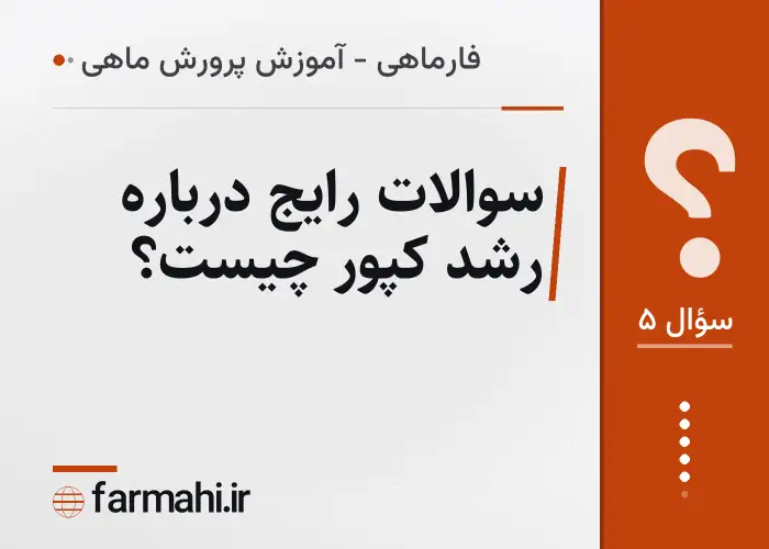 سوالات رایج درباره رشد کپور چیست؟