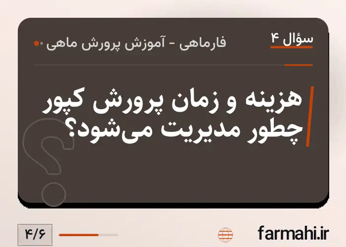 هزینه و زمان پرورش کپور چطور مدیریت می‌شود؟