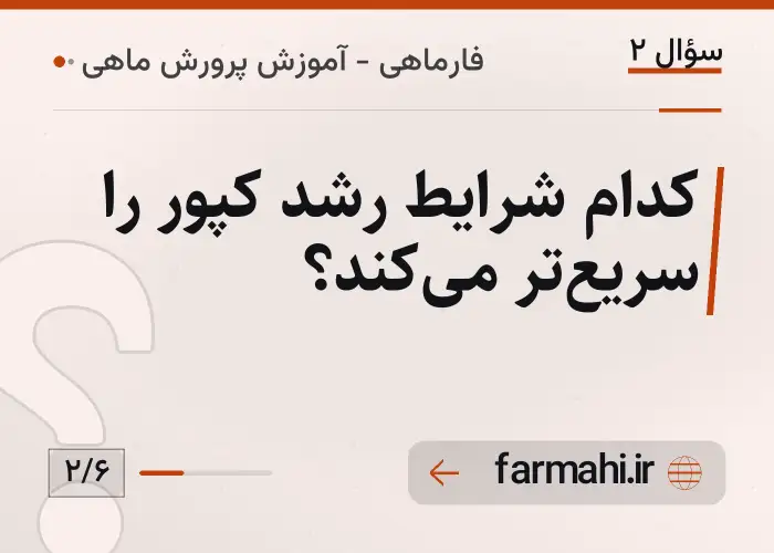 کدام شرایط رشد کپور را سریع‌تر می‌کند؟