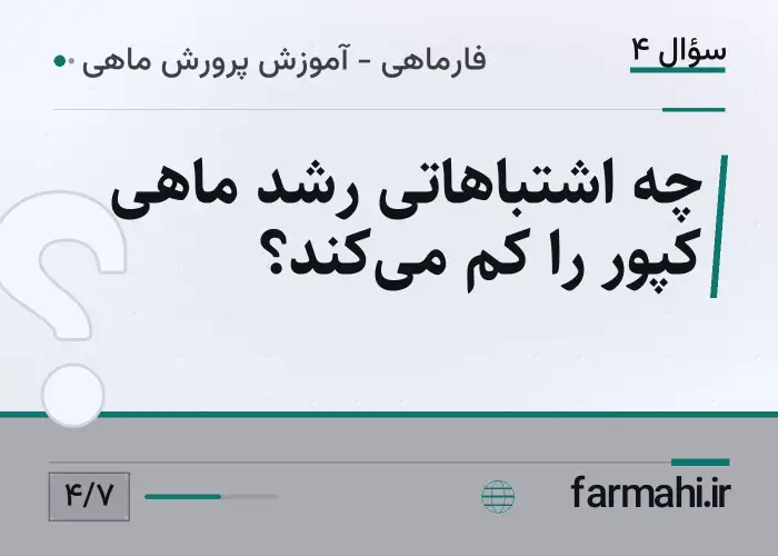 چه اشتباهاتی رشد ماهی کپور را کم می‌کند؟