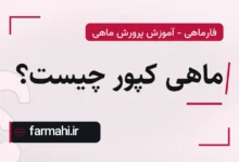 ماهی کپور چیست؟