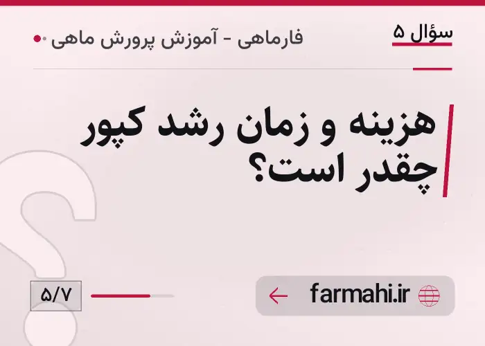 هزینه و زمان رشد کپور چقدر است؟