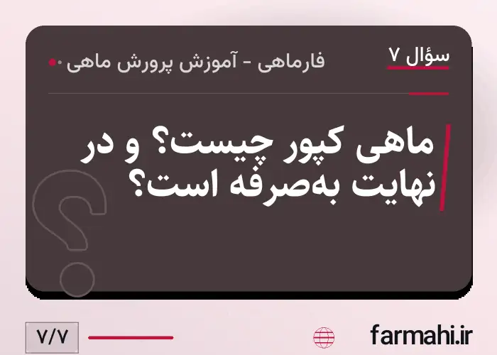 ماهی کپور چیست؟ و در نهایت به‌صرفه است؟