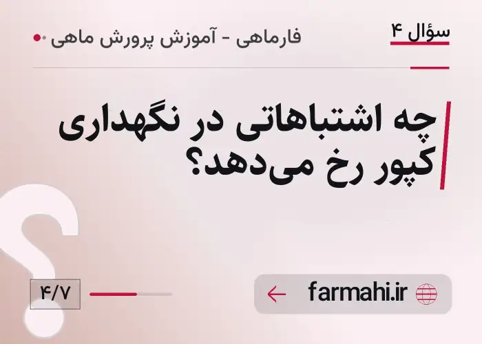 چه اشتباهاتی در نگهداری کپور رخ می‌دهد؟