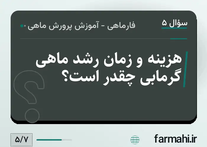 هزینه و زمان رشد ماهی گرمابی چقدر است؟