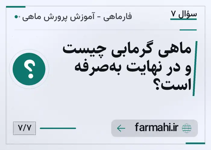 ماهی گرمابی چیست و در نهایت به‌صرفه است؟