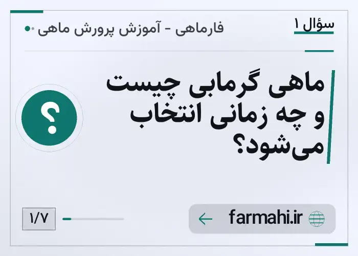 ماهی گرمابی چیست و چه زمانی انتخاب می‌شود؟
