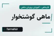 ماهی گوشتخوار