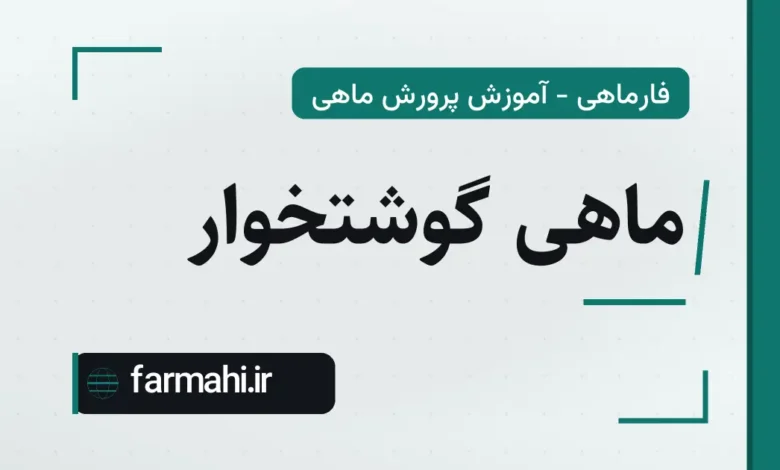 ماهی گوشتخوار