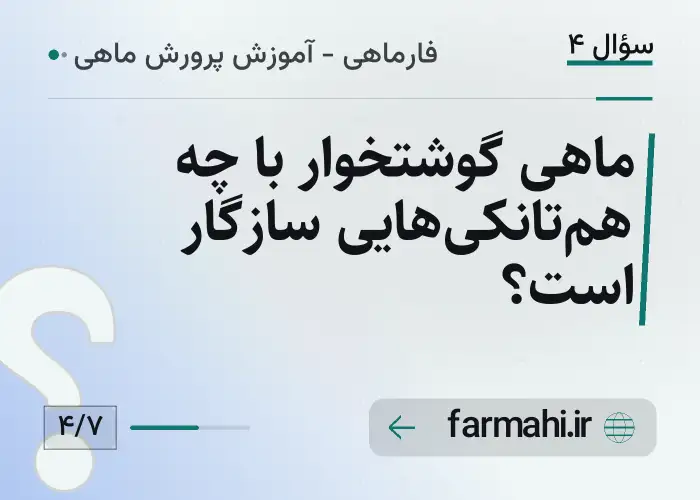 ماهی گوشتخوار با چه هم‌تانکی‌هایی سازگار است؟