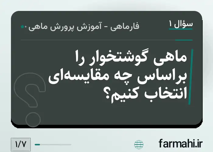ماهی گوشتخوار را براساس چه مقایسه‌ای انتخاب کنیم؟