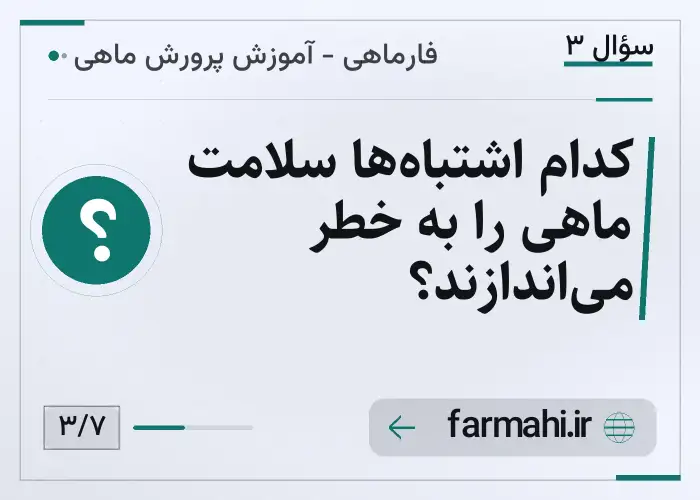 کدام اشتباه‌ها سلامت ماهی را به خطر می‌اندازند؟