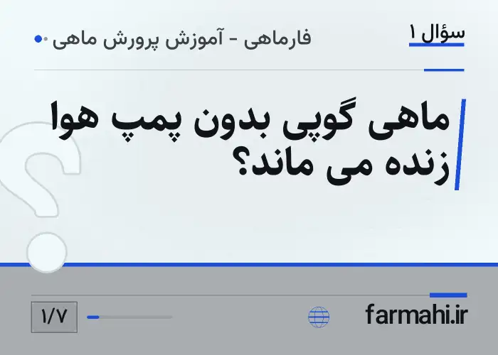 ماهی گوپی بدون پمپ هوا زنده می ماند؟